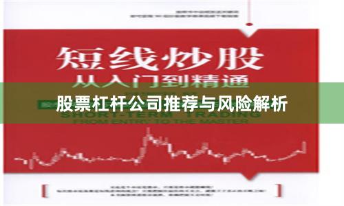 股票杠杆公司推荐与风险解析