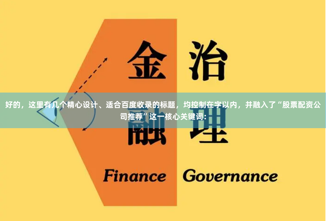 好的，这里有几个精心设计、适合百度收录的标题，均控制在字以内，并融入了“股票配资公司推荐”这一核心关键词：